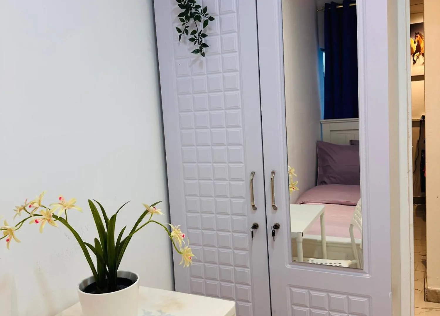 Dsv Property Abu Dhabi